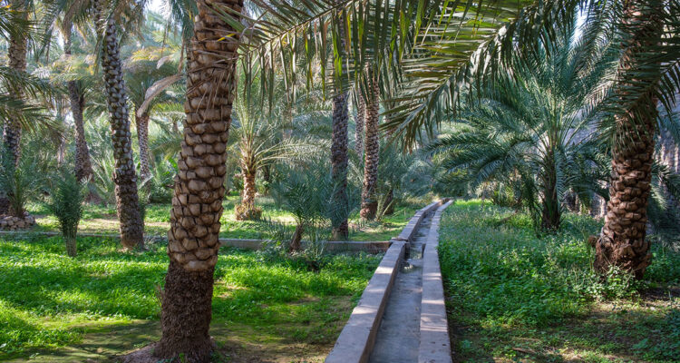 oman Aflaj