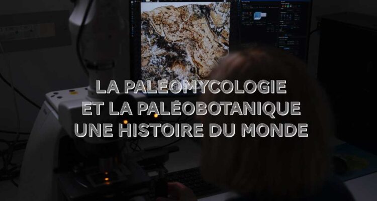 Christine Strullu-Derrien : paléobotaniste et paléomycologue
