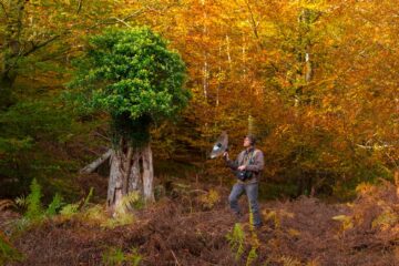 Marc Namblard et les sons de la nature
