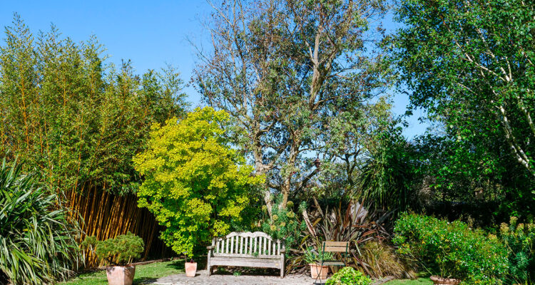 Jardin du Presbytère, Cotentin