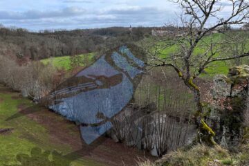 Haies dans le Morvan