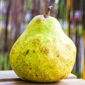 Poirier-Bergamote-de-Parthenay-copyright-17838-1 Promesse de fleurs-Edit ©Promesse de fleurs