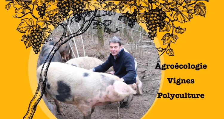 Nicolas Gros Bois et ses porcs longué