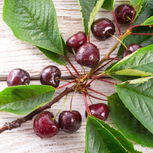 griotte - Dar1930 -Edit ©Dar1930