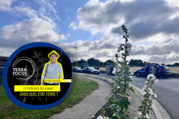 Jon Palais, radicalisme et stratégie non-violente