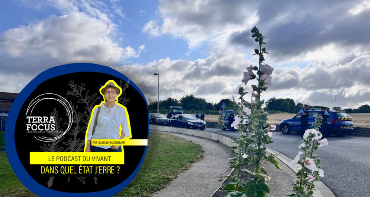 Jon Palais, radicalisme et stratégie non-violente