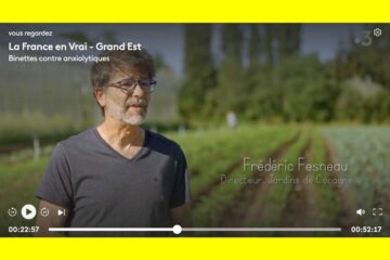 Binette contre anxyolitiques : le documentaire