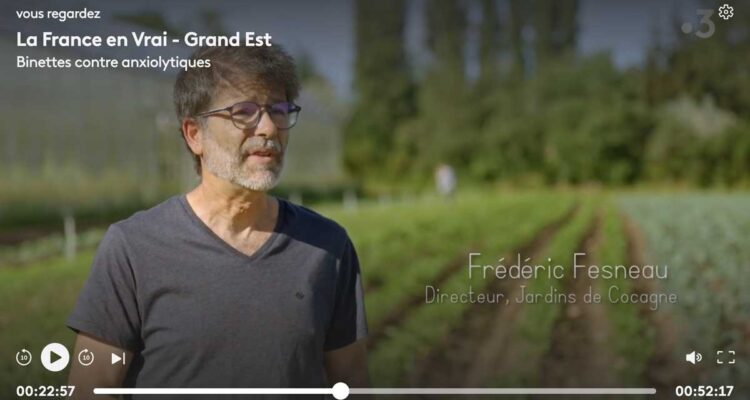 Binette contre anxyolitiques : le documentaire