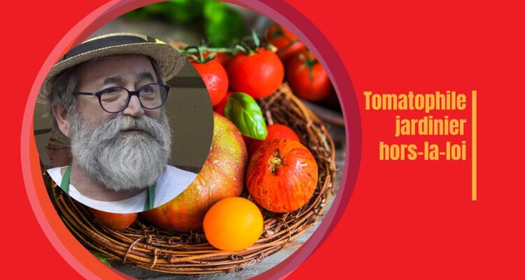 Les tomatophiles