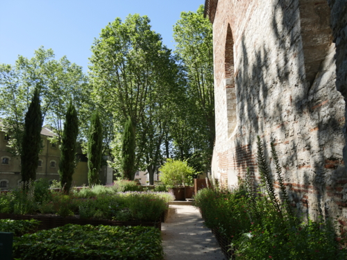 _1160858 Sauges en collection. Carré. Lierre. Cyprès. Mur brique-Edit ©Isabelle Morand