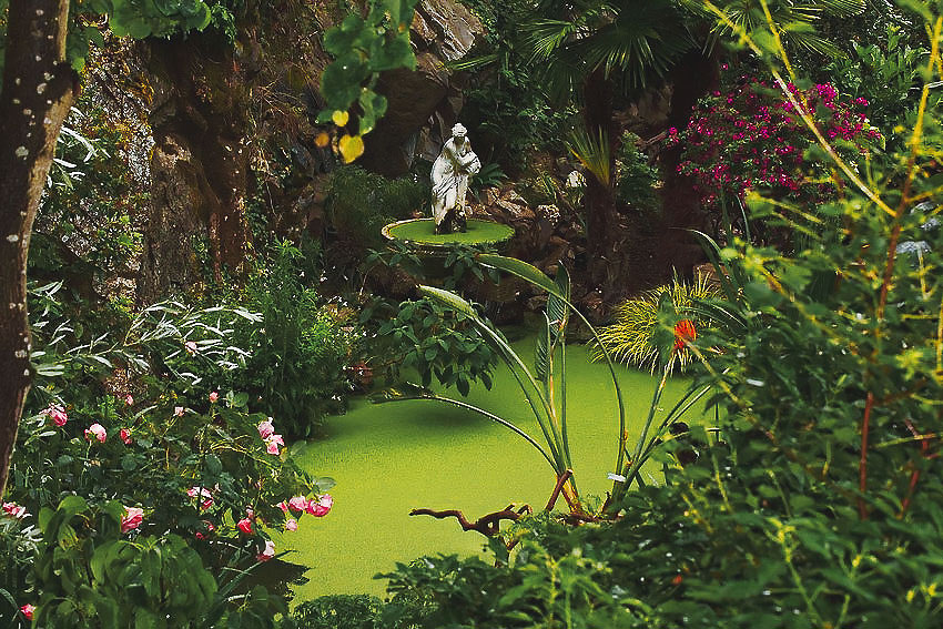 jardin-bassin jardin d'eden ©Jardin d'Eden