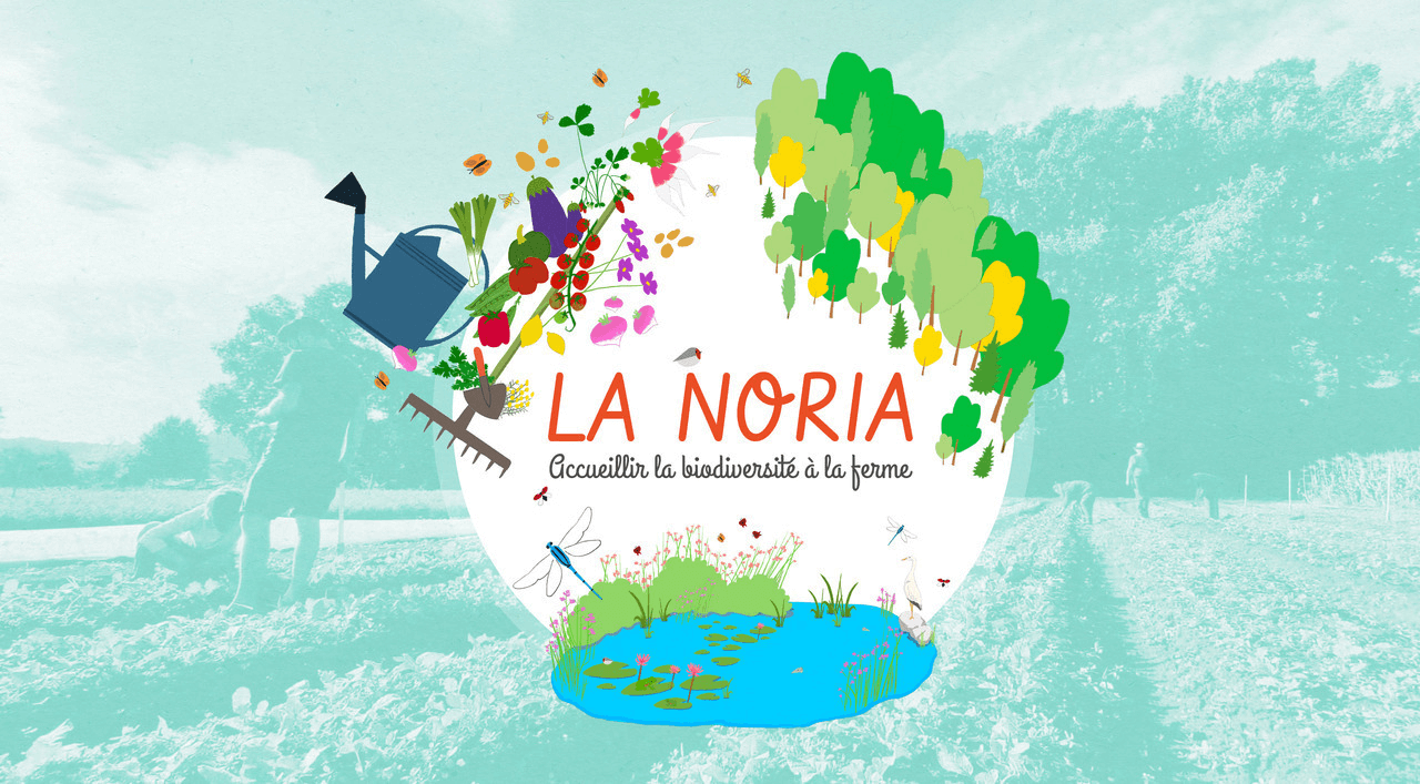 noria ferme de la noria