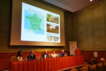 Parcs et jardins : la gestion de l'eau