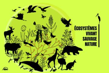 Environnement, de quoi parle t-on