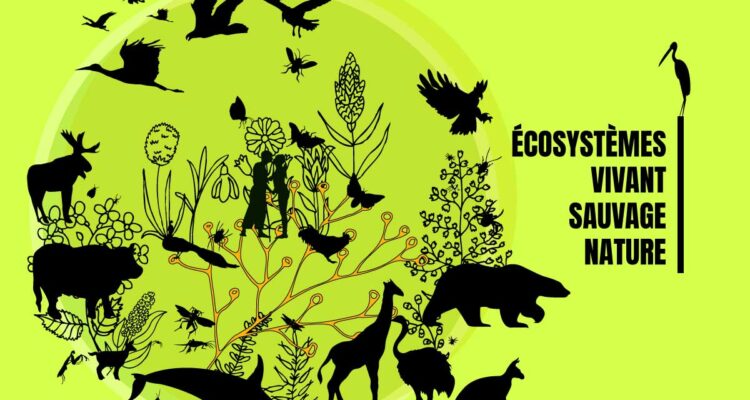 Environnement, de quoi parle t-on