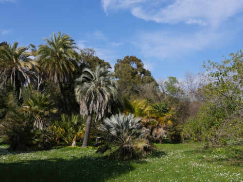 P1250457 Jardin Thuret - -Edit ©Isabelle Morand