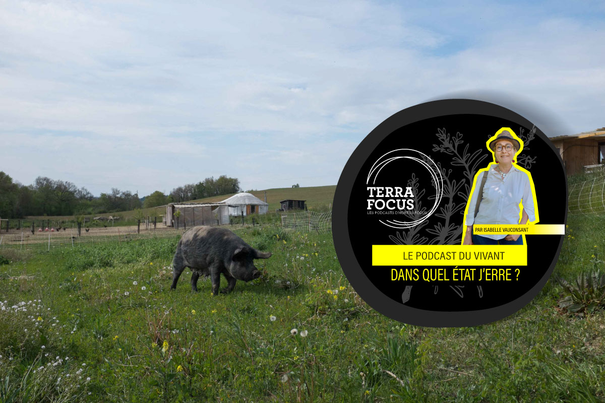 PLUTÔT NOURRIR par Noémie Calais et Cléent Osé