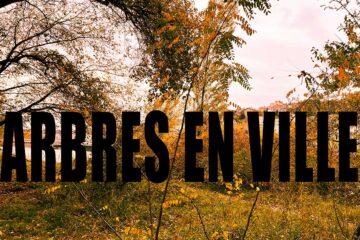 ARBRES EN VILLE • LYON