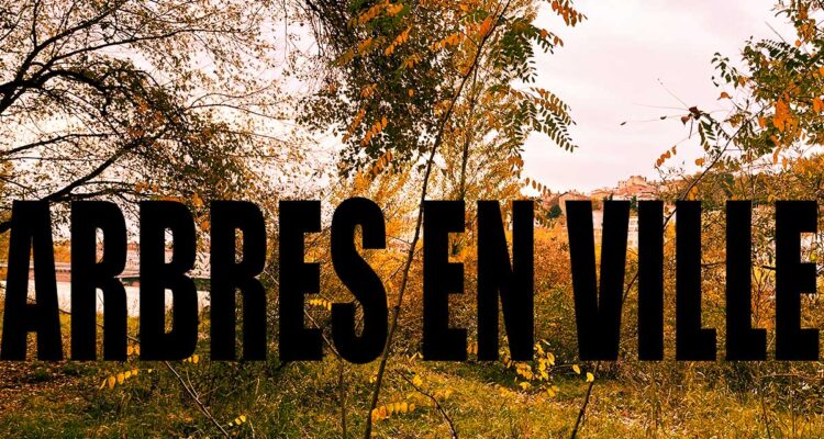 ARBRES EN VILLE • LYON