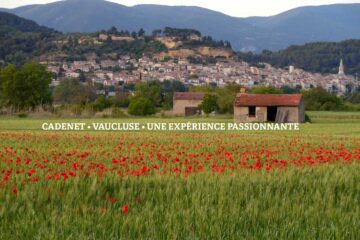 Cadenet (Vaucluse) expérimentation de la sécurité sociale de l'alimentation.
