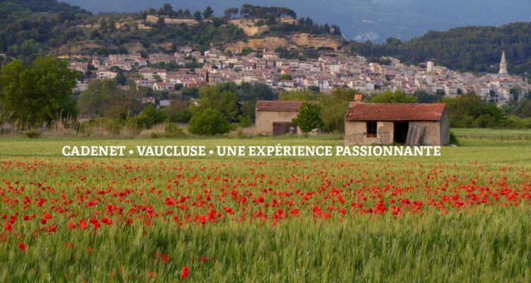 Cadenet (Vaucluse) expérimentation de la sécurité sociale de l'alimentation.