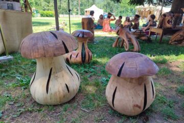 Anthony Pons, Le bois de lion, sculpteur d'une table