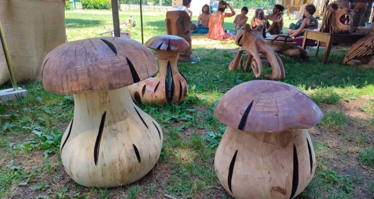 Anthony Pons, Le bois de lion, sculpteur d'une table