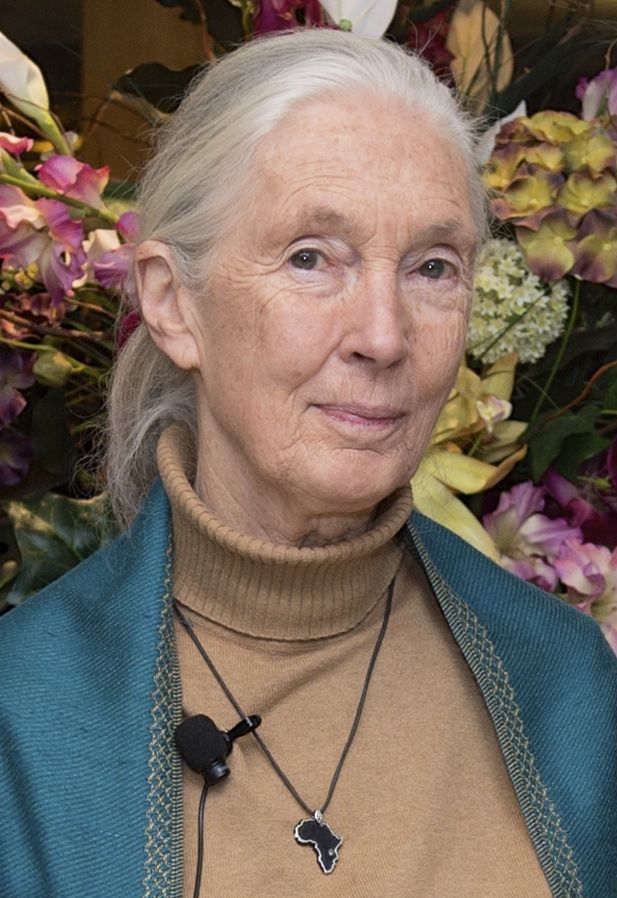 Jane_Goodall_2015 © U.S. Department of State from United States• Dr. Jane Goodall • Washington 2015