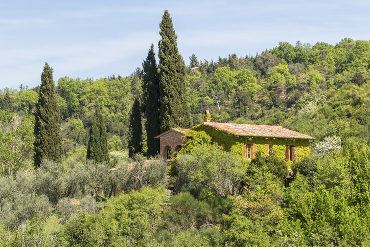 maison forêt - TT ©TT