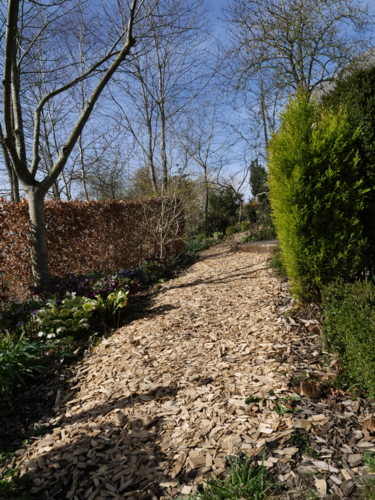 _1111685 Le jardin des Violettes - charmille - allee - chemin - bois - paillage - plaquette-Edit ©Isabelle Morand