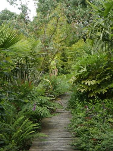 _1240040Le domaine Albizia - chemin bois-Edit ©Isabelle Morand