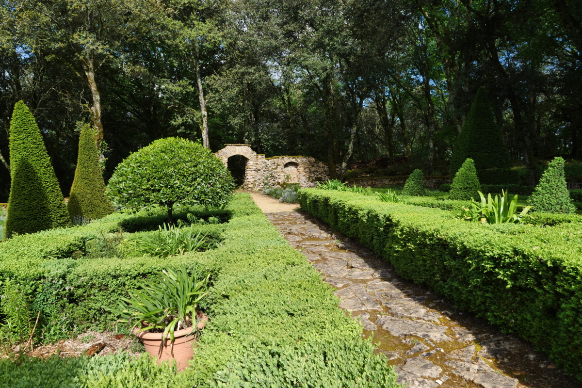 P1044812 Les jardins de Cadiot - Dordogne - buis - buxus - allee - topiaire - if taillé - buxus - foret-Edit ©Isabelle Morand