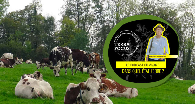 Autonomies animales • Vipulan Puvaneswaran