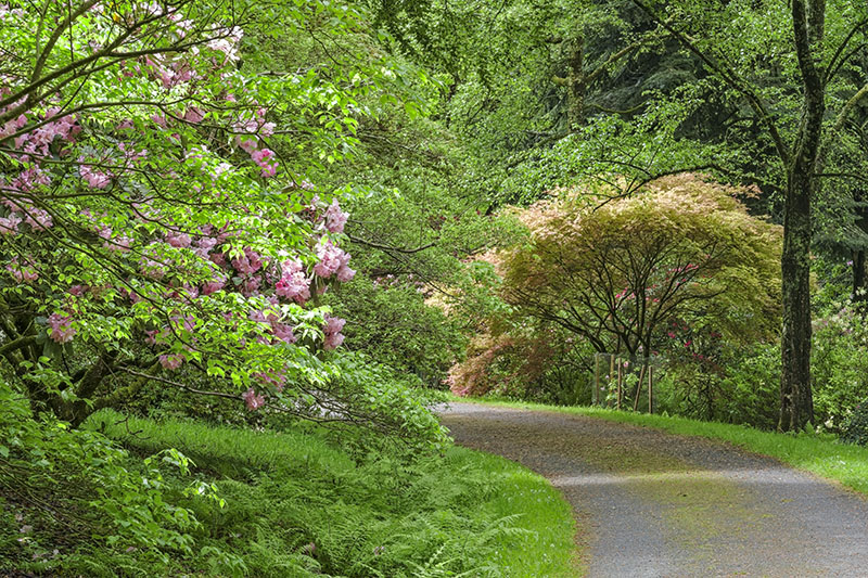 Domaine de Trevarez-by Didier Hirsch_DSB4780800x533 © Didier Hirsch