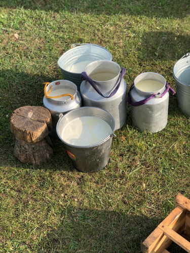 lait de yack mongolie - Jaime Bisbal -Edit ©Jaime Bisbal