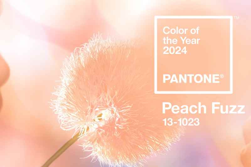 Peach-Fuzz-couleur-annee-2024-jardin Peach Fuzz, couleur de l'année 2024
