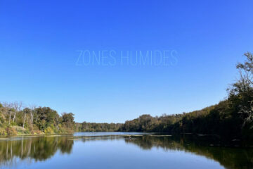 Étang de Coye-la-forêt • zones humides