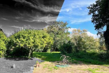 FONCIER ET CHOIX DE SOCIÉTÉ