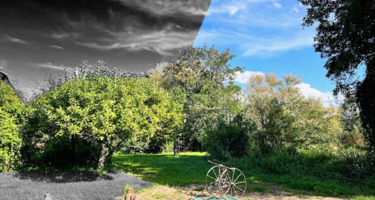 FONCIER ET CHOIX DE SOCIÉTÉ