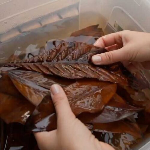 08-La-fee-des-feuilles-Alyssa-Jos le bain de jouvence des feuilles