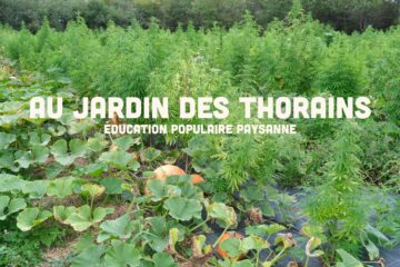 Le jardin des Thorains : apprendre les gestes de la permaculture par l'éducation populaire paysanne