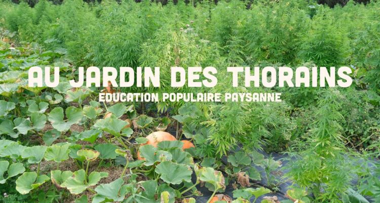 Le jardin des Thorains : apprendre les gestes de la permaculture par l'éducation populaire paysanne