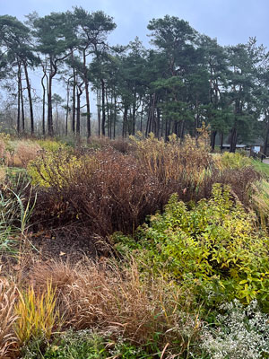 Jardin-Drapeau-Jardins-de-la-Paix-©Valérie-Collet Drapeau - Jardins de la Paix