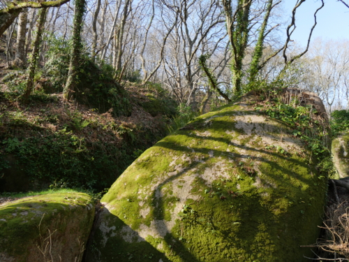 P1300295 bretagne - vallée des Traouïéro - roche-Edit ©Isabelle Morand