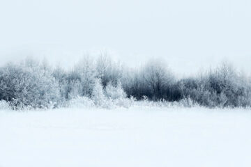 paysage hiver neige gel