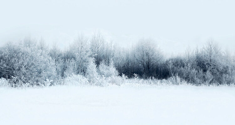 paysage hiver neige gel