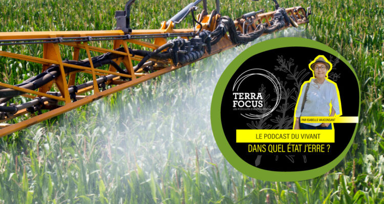 Les pesticides mettent notre santé en danger