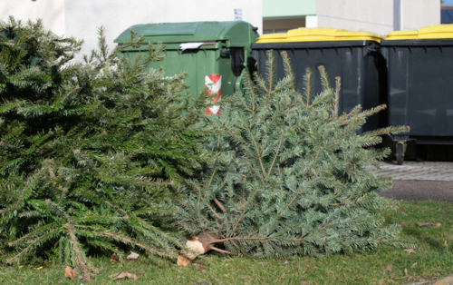 sapin noel poubelle - Ulrike Leone -Edit ©Ulrike Leone