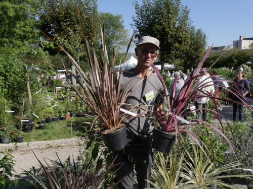 _1330750 Yves gloaguen - pep Arven - cordyline et phormium-Edit Yves Gloaguen ©Isabelle Morand