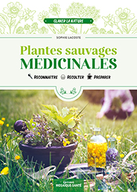 Plantes sauvages médicinales Mosaique-Sante Plantes sauvages médicinales
